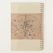 ヴィンテージ神経学の図 - 医師向け プランナー手帳 (裏面)