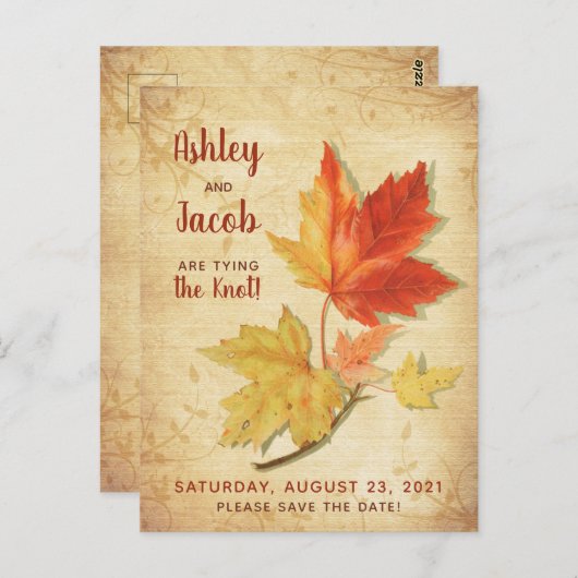 ヴィンテージ秋のメープル葉ズウェディングの日付を保存 ポストカード (正面/裏面)