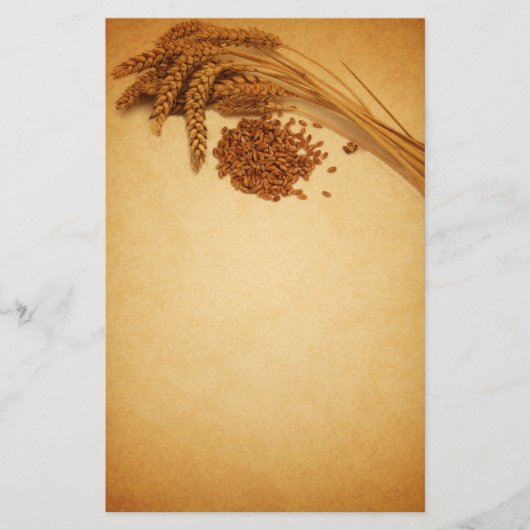 ヴィンテージ秋の小麦コーン – 文房具レターヘッド 便箋 (正面)