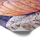 ヴィンテージ秋カボチャ紅葉水彩 ポスター (角)