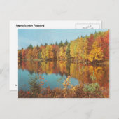 ヴィンテージ秋シーン ポストカード (正面/裏面)