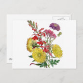 ヴィンテージ秋花 ポストカード (正面/裏面)