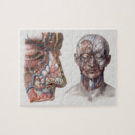 ヴィンテージ科学人間の解剖学的頭部と顔 ジグソーパズル