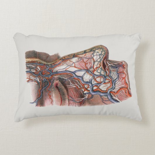 ヴィンテージ科学人間の解剖学、鼻との顔 アクセントクッション (正面)