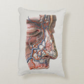 ヴィンテージ科学人間の解剖学、鼻との顔 アクセントクッション (裏面(縦))