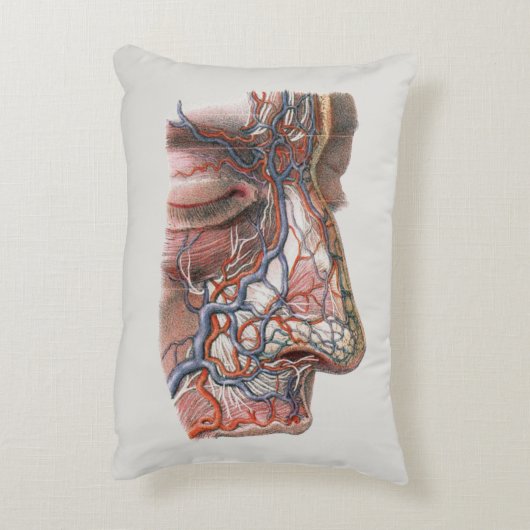 ヴィンテージ科学人間の解剖学、鼻との顔 アクセントクッション (裏面(縦))