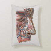 ヴィンテージ科学人間の解剖学、鼻との顔 アクセントクッション (正面(垂直))