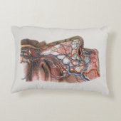 ヴィンテージ科学人間の解剖学、鼻との顔 アクセントクッション (裏面)