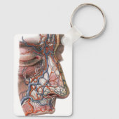 ヴィンテージ科学人間の解剖学、鼻との顔 キーホルダー (裏面)