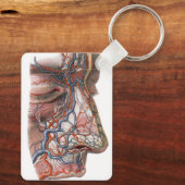 ヴィンテージ科学人間の解剖学、鼻との顔 キーホルダー (裏面)