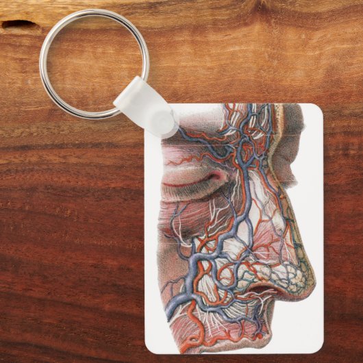 ヴィンテージ科学人間の解剖学、鼻との顔 キーホルダー (正面)