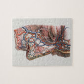 ヴィンテージ科学人間の解剖学、鼻との顔 ジグソーパズル (横)