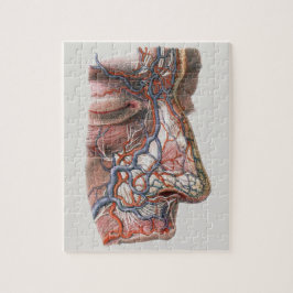 ヴィンテージ科学人間の解剖学、鼻との顔 ジグソーパズル