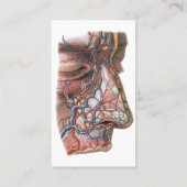 ヴィンテージ科学人間の解剖学、鼻との顔 名刺 (裏面)