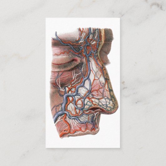 ヴィンテージ科学人間の解剖学、鼻との顔 名刺 (裏面)