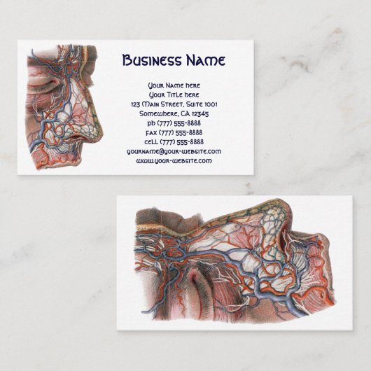 ヴィンテージ科学人間の解剖学、鼻との顔 名刺 (正面/裏面)