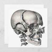 ヴィンテージ科学人間解剖学アンティークスカル (正面/裏面)