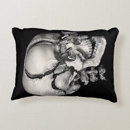 ヴィンテージ科学人間解剖学アンティークスカル アクセントクッション (裏面)