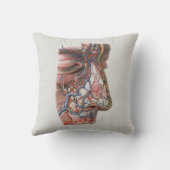 ヴィンテージ科学 人体解剖学、鼻のある顔 クッション (裏面)