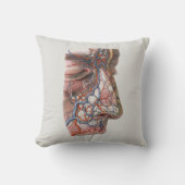 ヴィンテージ科学 人体解剖学、鼻のある顔 クッション (正面)