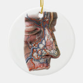 ヴィンテージ科学 人体解剖学、鼻のある顔 セラミックオーナメント (正面)