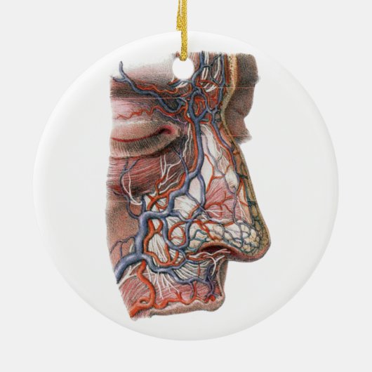 ヴィンテージ科学 人体解剖学、鼻のある顔 セラミックオーナメント (裏面)