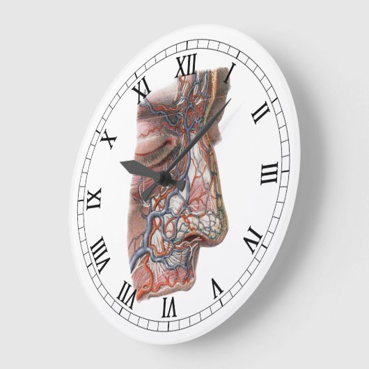 ヴィンテージ科学 人体解剖学、鼻のある顔 ラージ壁時計 (傾斜)
