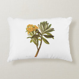 ヴィンテージ科学NZの花- Senecioのhuntii アクセントクッション