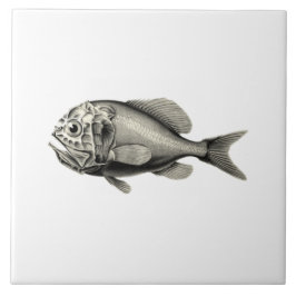 ヴィンテージ科学NZの魚-オレンジRoughy タイル