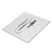 ヴィンテージ科学NZの魚-管およびランタンの魚 タイル (側面)