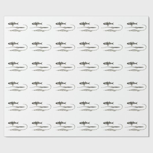 ヴィンテージ科学NZの魚-管およびランタンの魚 ラッピングペーパー (フラット)