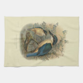 ヴィンテージ科学NZの鳥- NZのカワセミ キッチンタオル (横)