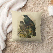 ヴィンテージ科学NZの鳥- Tui クッション (ブランケット)