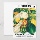 ヴィンテージ種パケットアート、混合ゴールドスカッシュ (正面/裏面)