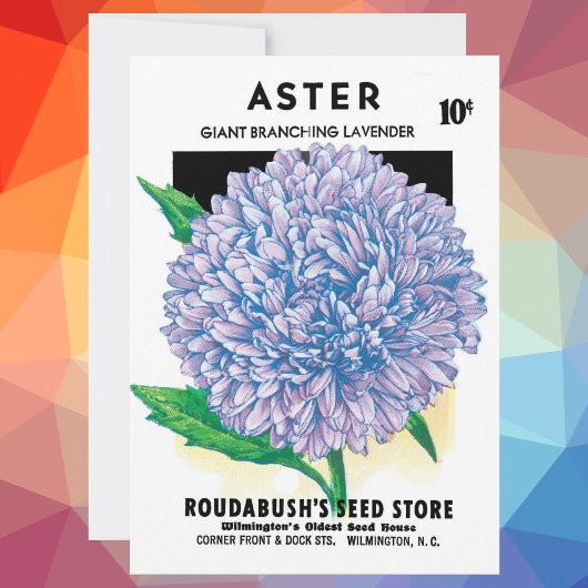 ヴィンテージ種パケットアート、紫のアスターの花