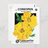 ヴィンテージ種パケットアート、黄色のコレオプシスの花 ポストカード (正面/裏面)