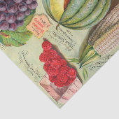 ヴィンテージ種子カタログアイオワ果実野菜 薄葉紙 (詳細)