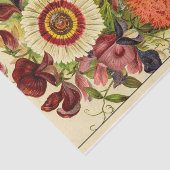 ヴィンテージ種子カタログバーペ新しい花1887 薄葉紙 (詳細)