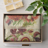 ヴィンテージ種子カタログバーペ新しい花1887 薄葉紙 (ギフト)