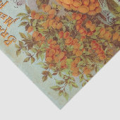 ヴィンテージ種子カタログブラジルメロンフルーツ 薄葉紙 (詳細)