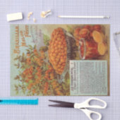 ヴィンテージ種子カタログブラジルメロンフルーツ 薄葉紙 (クラフト)