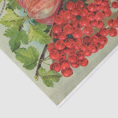 ヴィンテージ種子カタログ果実 薄葉紙 (詳細)