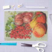 ヴィンテージ種子カタログ果実 薄葉紙 (クラフト)