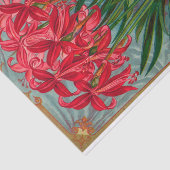 ヴィンテージ種子カタログ緋色のメキシカンリリー 薄葉紙 (詳細)