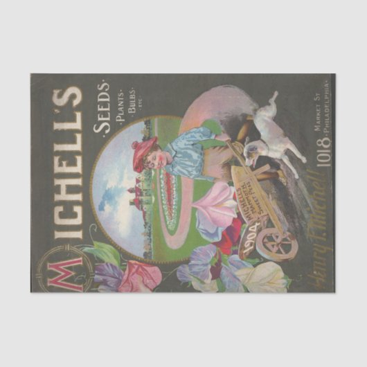 ヴィンテージ種子カタログ1904ミシェルの植物の種子 薄葉紙 (正面)
