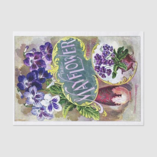 ヴィンテージ種子カタログ、メイフラワー 薄葉紙 (正面)