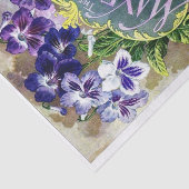 ヴィンテージ種子カタログ、メイフラワー 薄葉紙 (詳細)