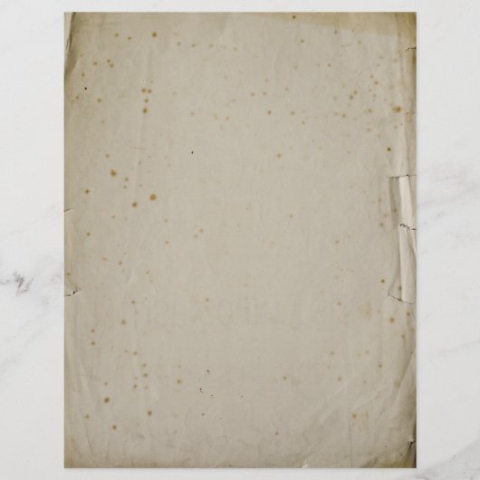 ヴィンテージ空白のの葉レターヘッド (正面)