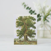 ヴィンテージ空白のOak Tree 4.25"x5.5インチカード (スタンド正面)