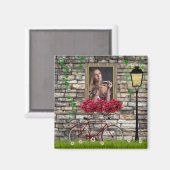 ヴィンテージ童話自転車バラガーリーフォトフレーム マグネット (正面/裏面)